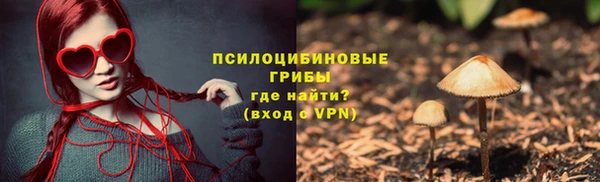 ешки Абаза