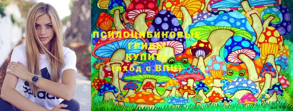 ешки Абаза