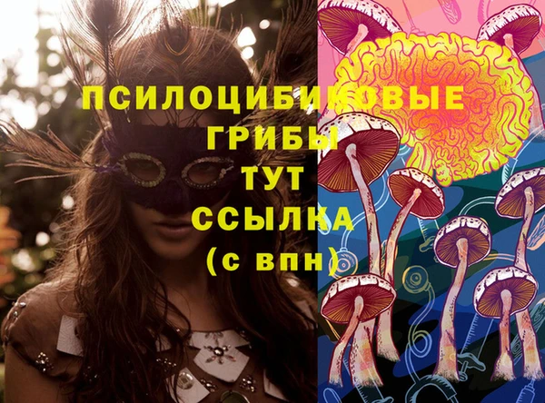 крисы Абинск