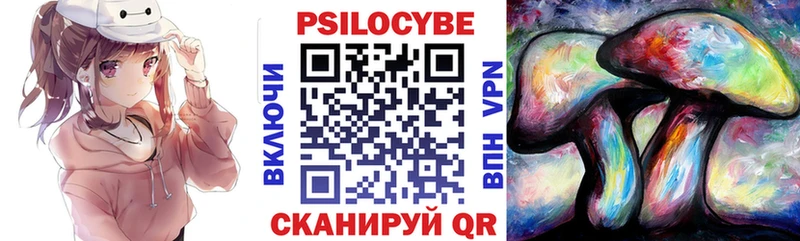 Псилоцибиновые грибы Psilocybine cubensis Власиха