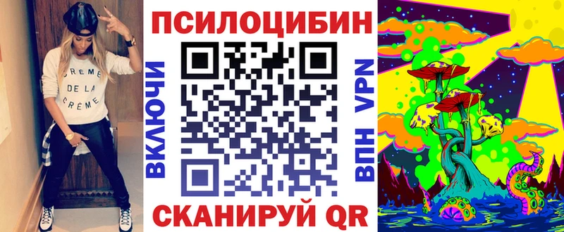 KRAKEN ССЫЛКА Власиха Галлюциногенные грибы Psilocybe